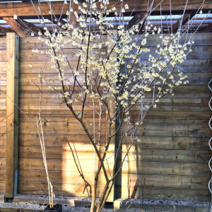 01 Frühling 2019 03
