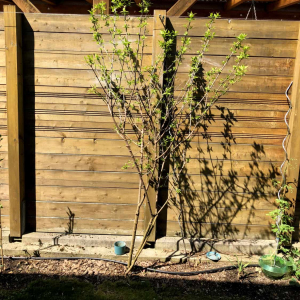 01 Frühling 2018 01