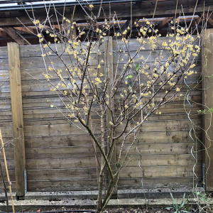 01 Frühling 2020 01