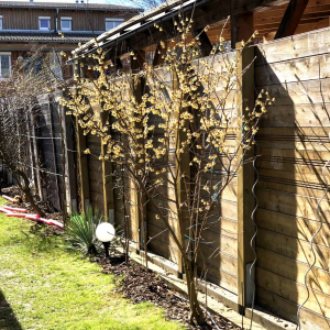 01 Frühling 2019 04