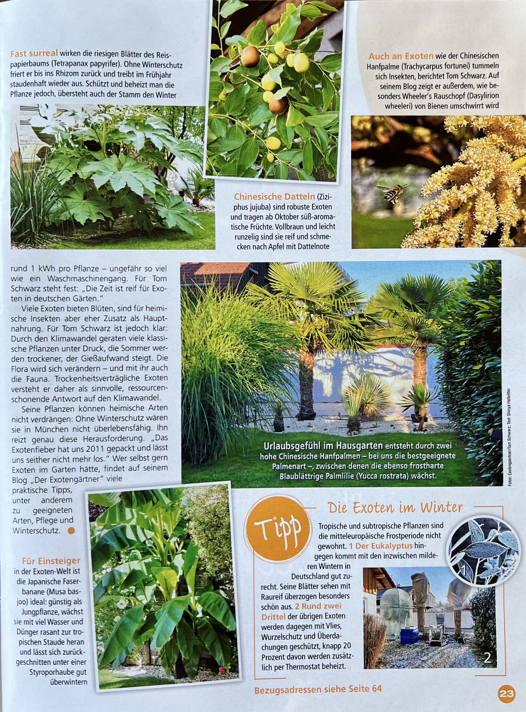 „Zeit für Exoten“ im Magazin „Gartenspass“ (Juli 2026) 2