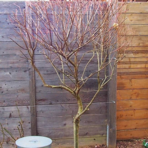 01 Frühling 2017 01