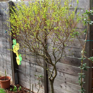 01 Frühling 2016 02