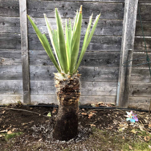 01 Frühling 2019 01