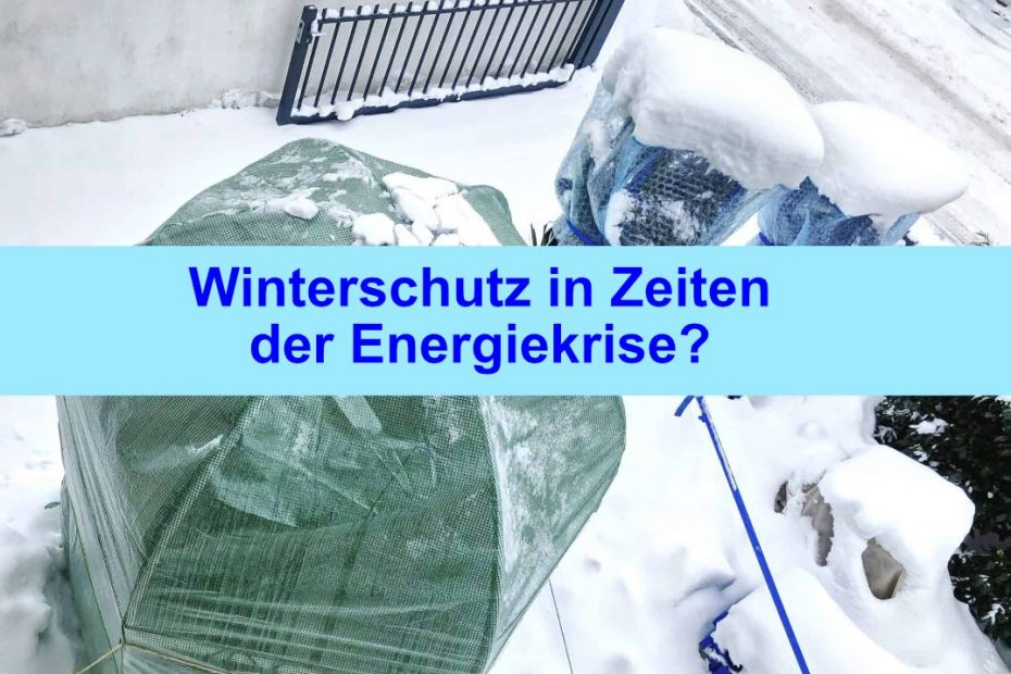 Winterschutz in Zeiten der Energiekrise? 10