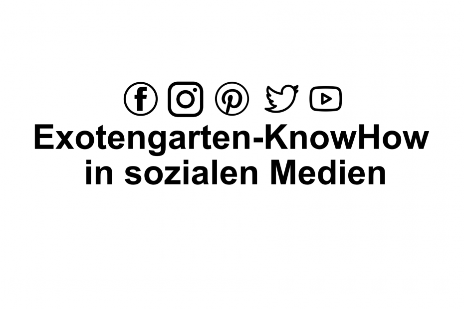 Exotengarten-KnowHow in sozialen Medien 5