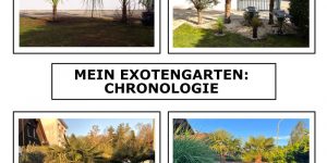 Exotengarten: Chronologie