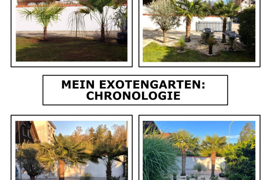 Mein Exotengarten: Chronologie 9